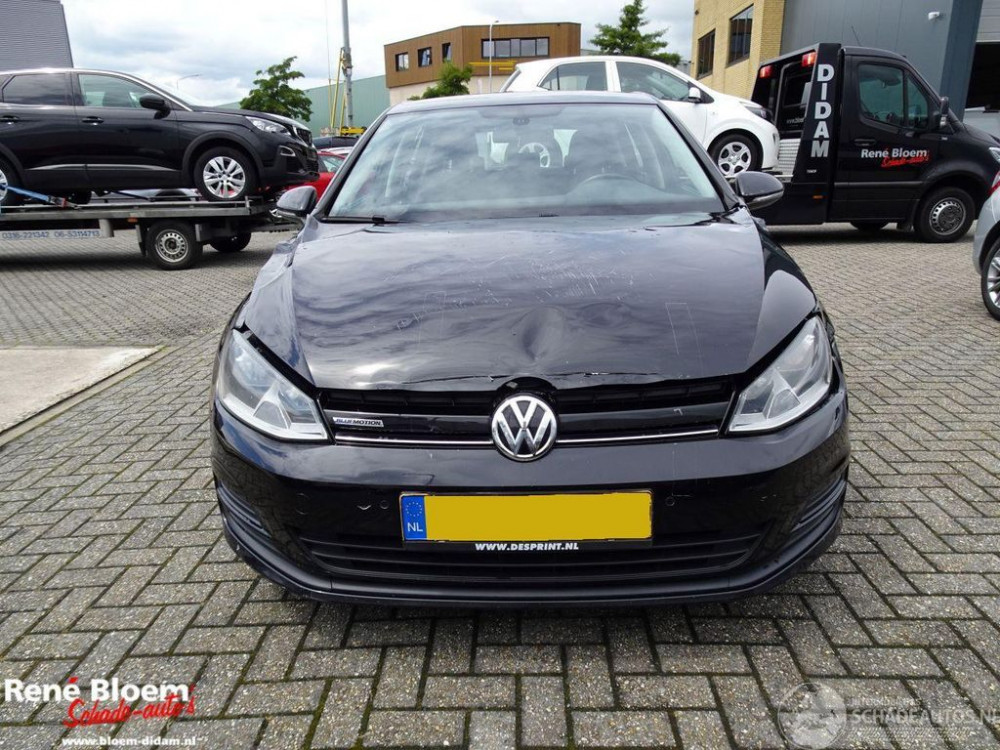 Volkswagen Golf 1.6 TDI ComfortLine Bluemotion 110pk 2014/4