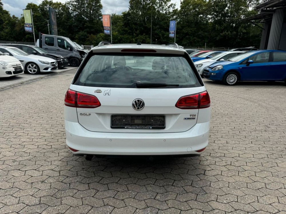 Volkswagen Golf VII 1.6 TDI Trendline BlueMotion Variant 2016/6